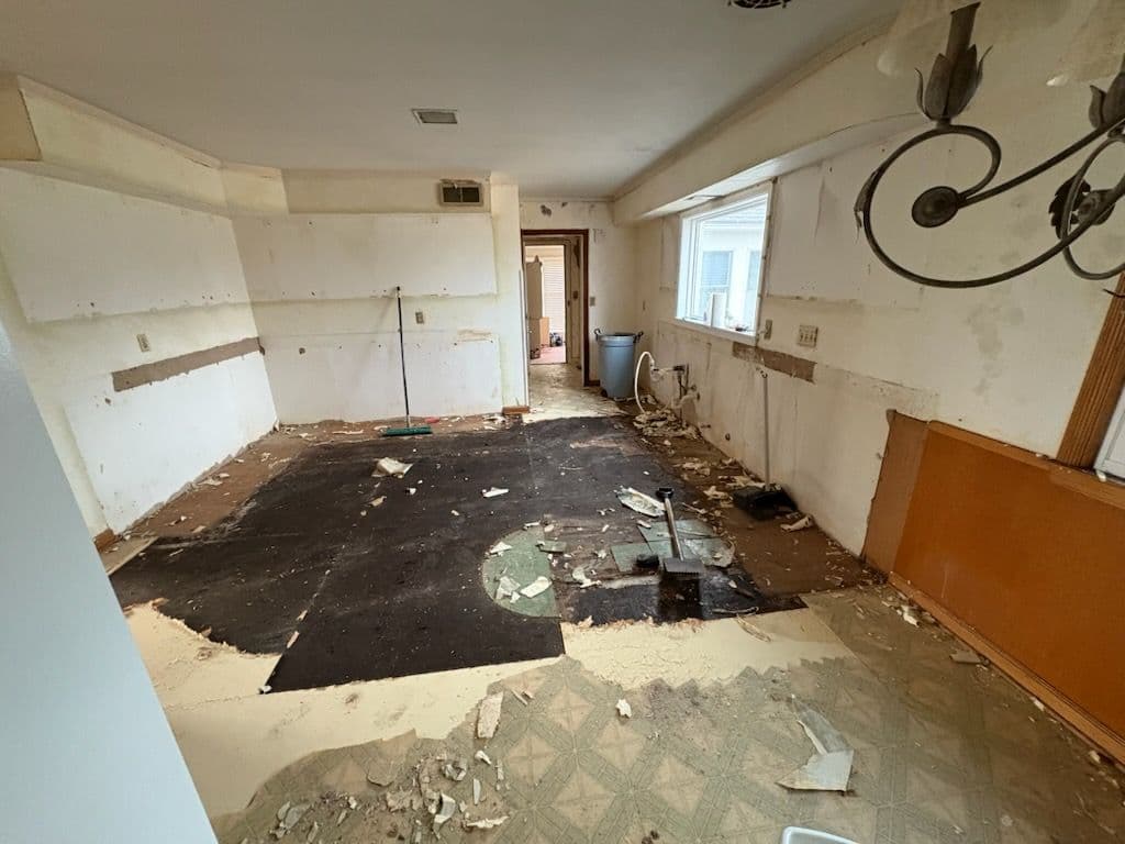 Whole Home Remodel Begins with Kitchen and Living Area Demolition